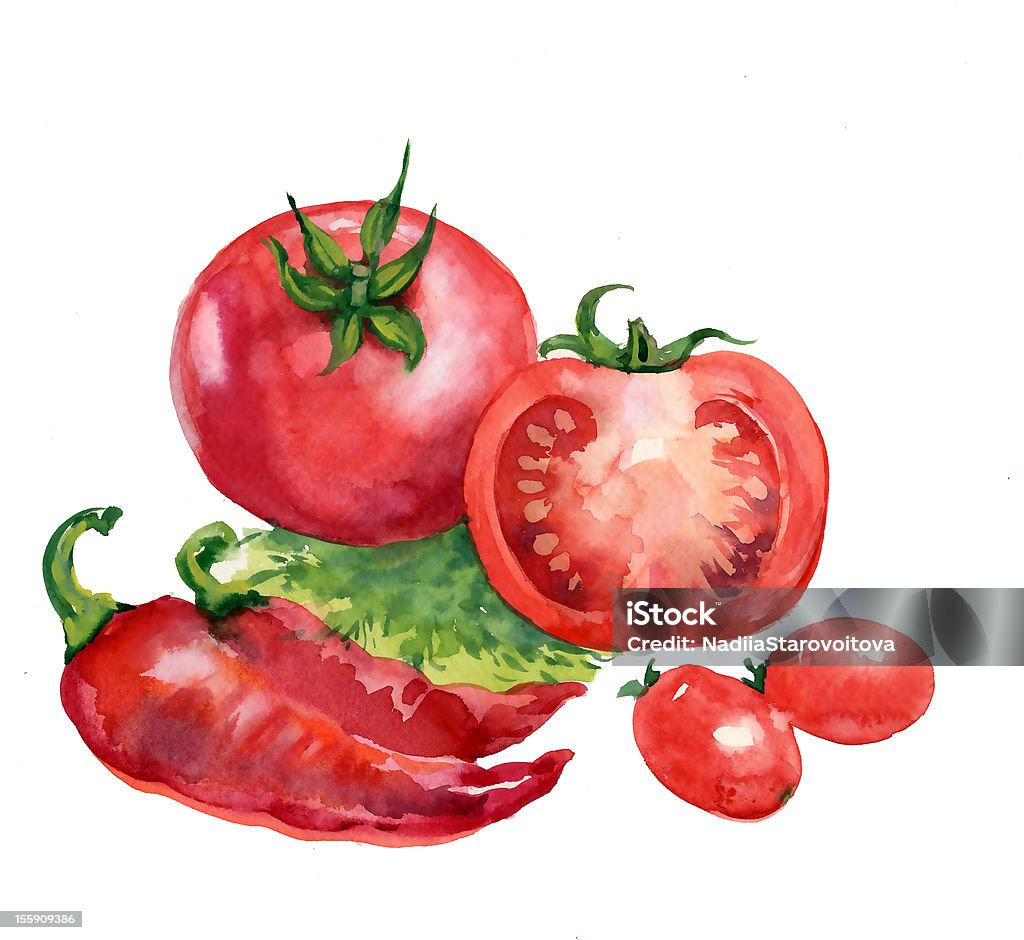tomato. watercolor painting on white background red tomatoes on a white background Horizontal stock illustration