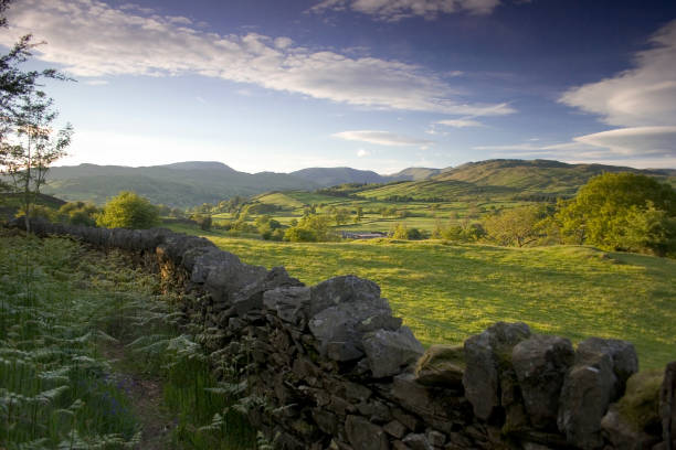 istock The Common from Orrest Head, Windermere, Lake District, Cumbria 1559098080