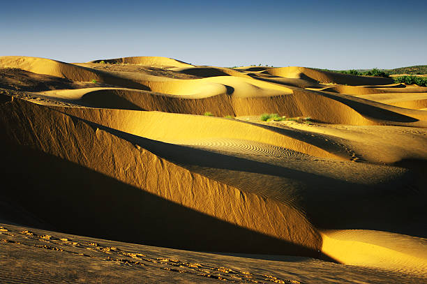 dunes de sable - bikaner photos et images de collection