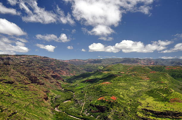 istock Waimea Canyon, Kauai, Hawaii 155910994
