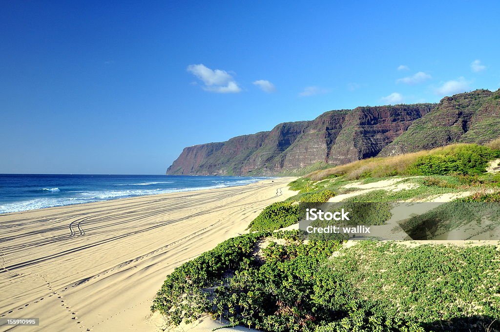 Polihale Plaża-Kauai, Hawaje - Zbiór zdjęć royalty-free (Bez ludzi)