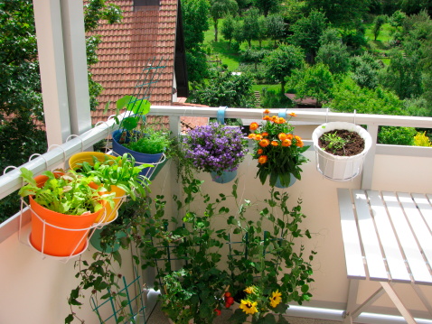 Balcony with flowers and vegetables in flowerpots