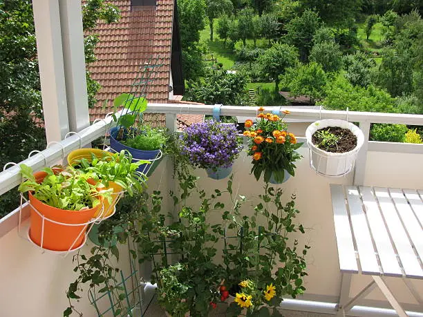 Balcony with flowers and vegetables in flowerpots