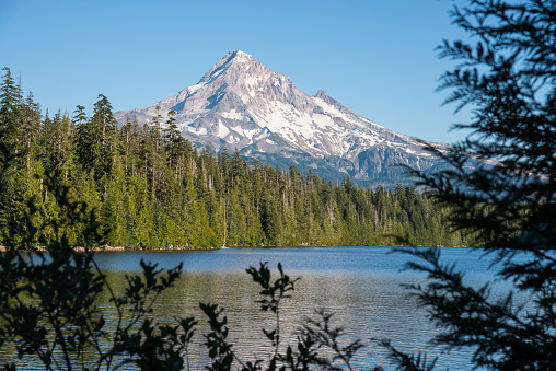 Summer afternoon at Lost Lake in the Mt Hood National Forest, Oregon