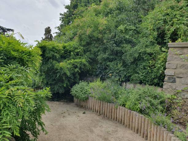 A path with a fence and bushes under the blue sky with sunshine