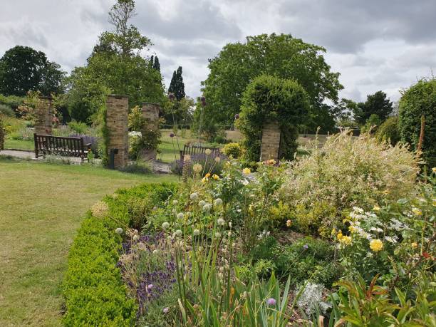 istock A garden with assorted coloured flowers, bushes and trees under the blue sky 1559147655