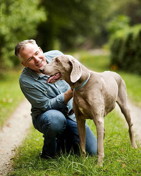 istock Mature Man With His Dog In Park. 155917003