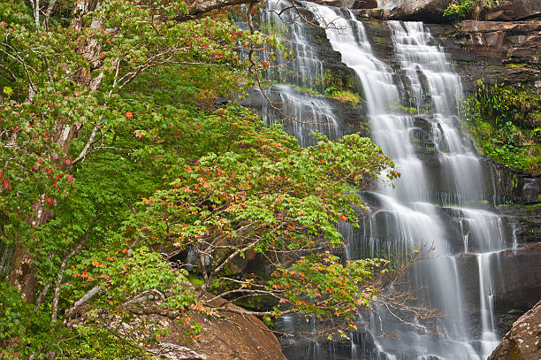 istock waterfall in national park of Thailand 155919103