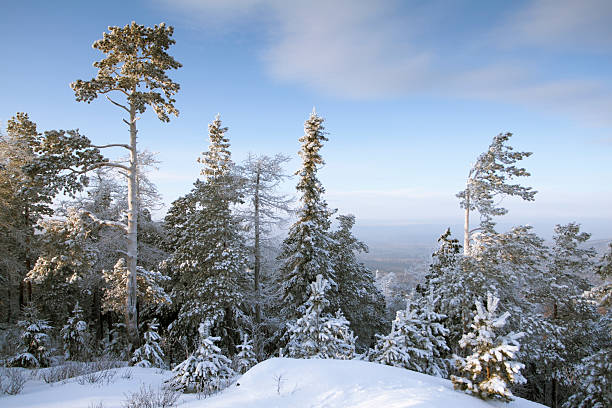 istock Top of mountain under snow 155920585