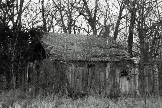 istock Dilapidated Iowa Shack 1 1559247796
