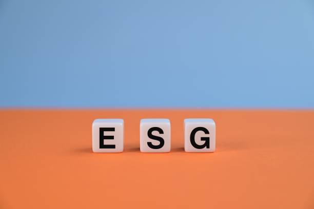 istock ESG letters on blocks. Building a Sustainable Future concepts. 1559248146