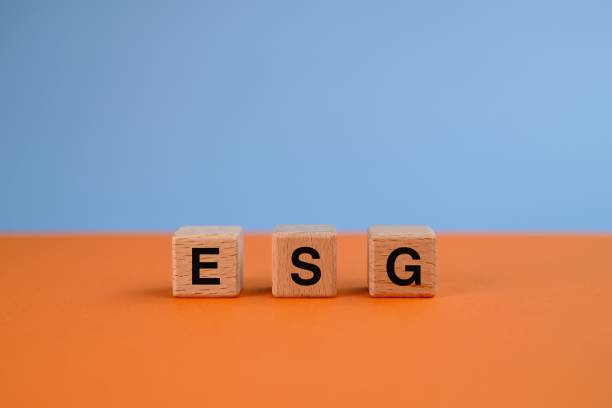 istock ESG letters on blocks. Building a Sustainable Future concepts 1559248158