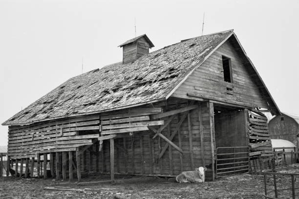 istock Dilapidated Iowa Barn 41 1559248170