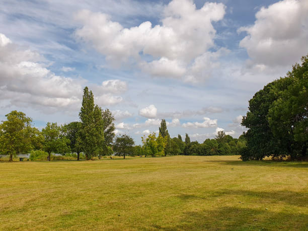 istock A field of grass with trees and blue sky with clouds 1559265316