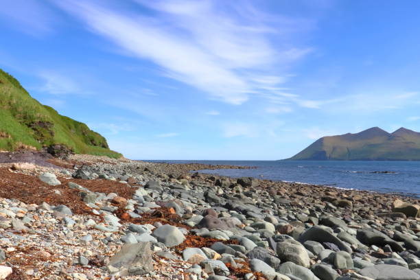 istock Alaskan beach in the summer 1559272677