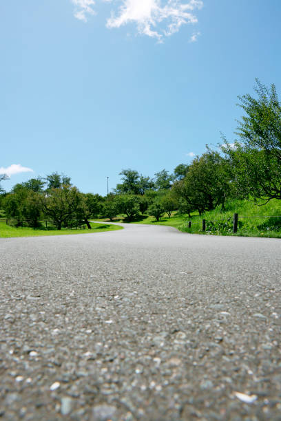 istock beautiful blue sky and road 1559286635