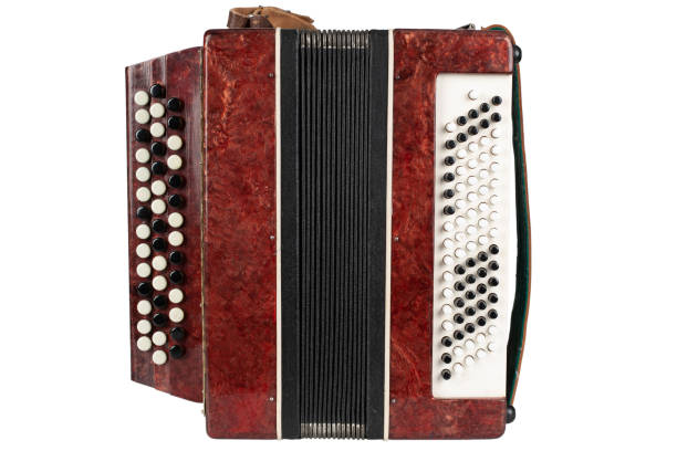 istock Small retro bayan (accordion). Folk musical instrument. 1559323699