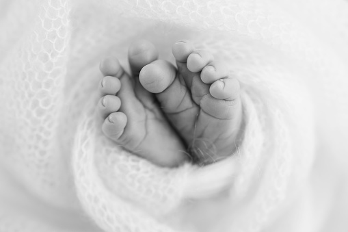 Close-up of tiny, cute, bare toes, heels and feet of a newborn girl, boy. Baby foot on soft coverlet, blanket. Detail of a newborn baby legs Macro horizontal professional studio black and white photo