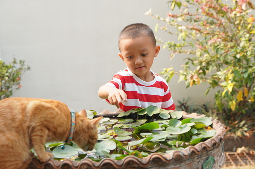 Boy playing with cat in the bath