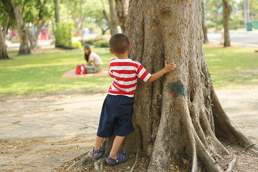 A boy hides behind a tree so his mother can't see