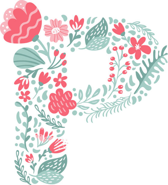 벡터 손으로 그린 글꼴 문자 p와 꽃과 나뭇가지가 봄을 피운다. 꽃 알파벳 타이포그래피 대문자 여름 편지 모노그램 또는 로고 디자인 웨딩 abc - flower letter p alphabet alphabetical order stock illustrations