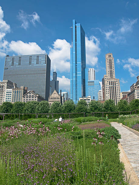 istock Chicago Skyscrapers and Millennium Park 155942889