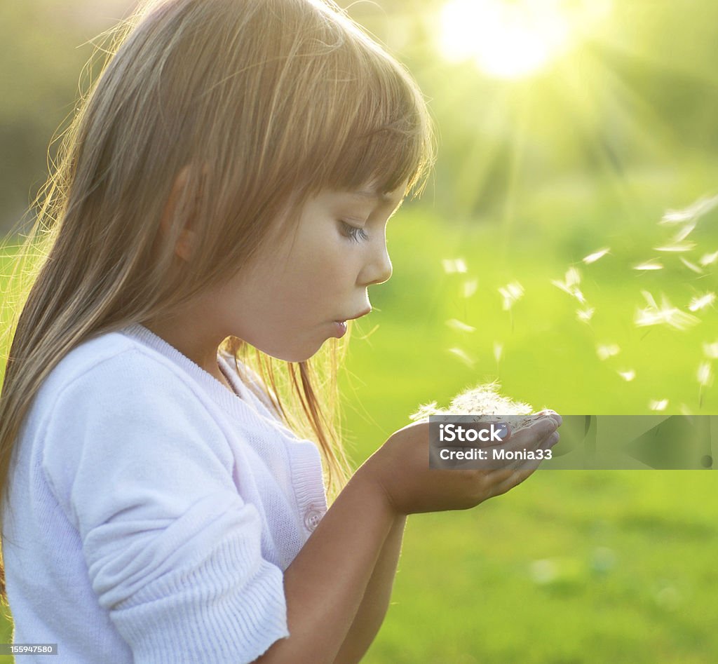 Petite fille de soufflage des graines de pissenlit dans ses mains - Photo de Fleur de pissenlit libre de droits