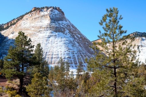 a mass of slickrock with crossbedding etched into the north face of the rock. The imperfect vertical and horizontal fissures are a result of jointing and crossbedding. The checkerboard design has been created by weathering and erosion in the upper portion of the Navajo Formation.
