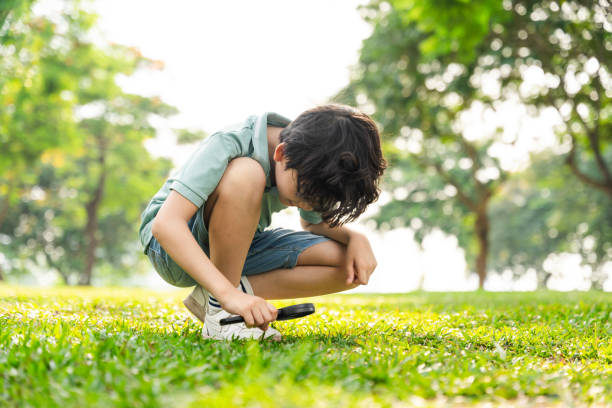 istock image of asian boy using magnifying glass in park 1559545164