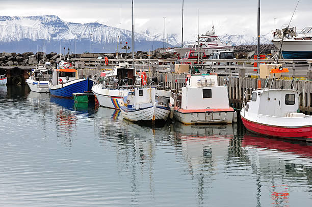 istock Husavik Harbour Northern Iceland 155954843