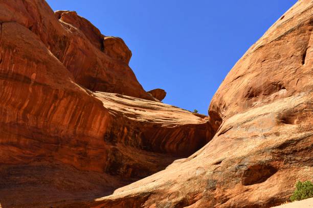 istock Good Morning in The Arches 1559565005