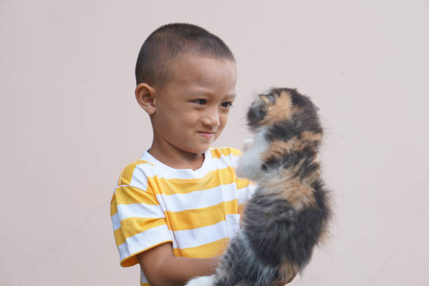 Asian boy smiling happily with his pet cat