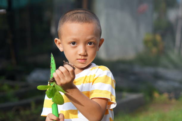 concept of saving the world boy planting trees