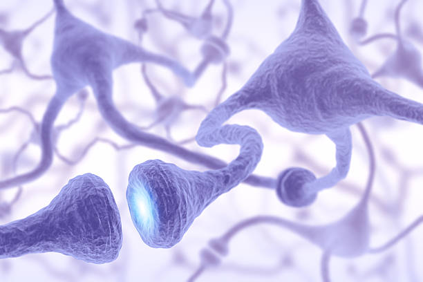 istock Microscopic view of nerve cell pulsing 155957244