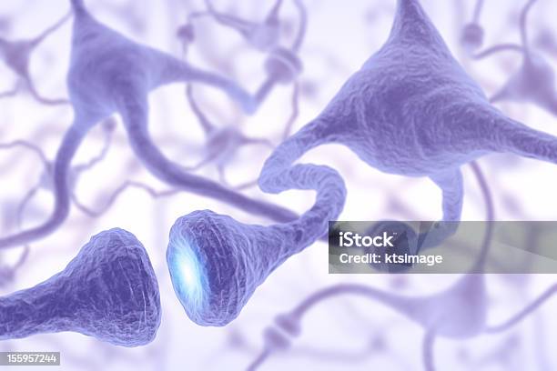 Microscopic View Of Nerve Cell Pulsing Stock Photo - Download Image Now - Autonomic Nervous System, Autoreceptor, Axon Terminal