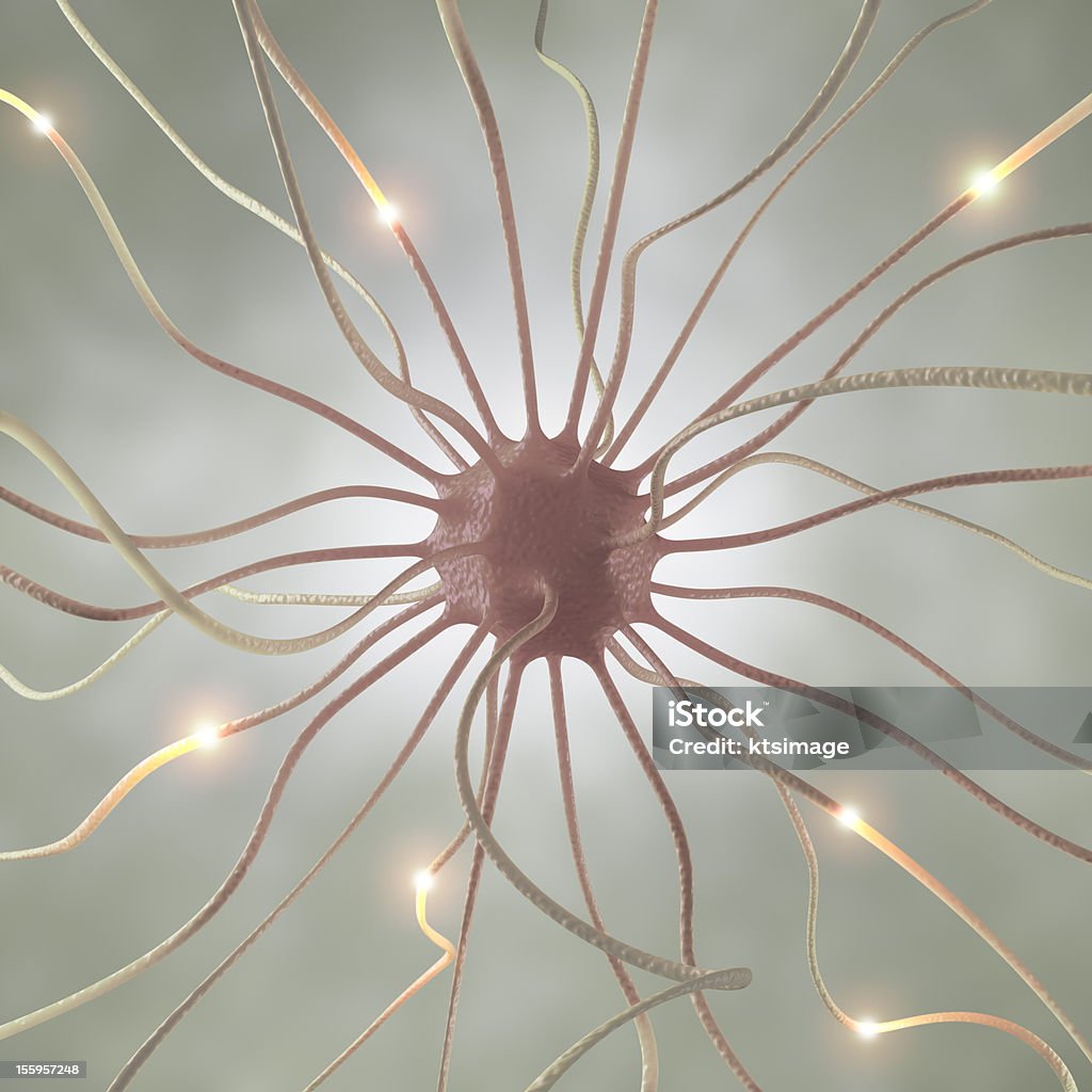 Neuron Pulse Interconnected neurons transferring information with electrical pulses. Autoreceptor Stock Photo