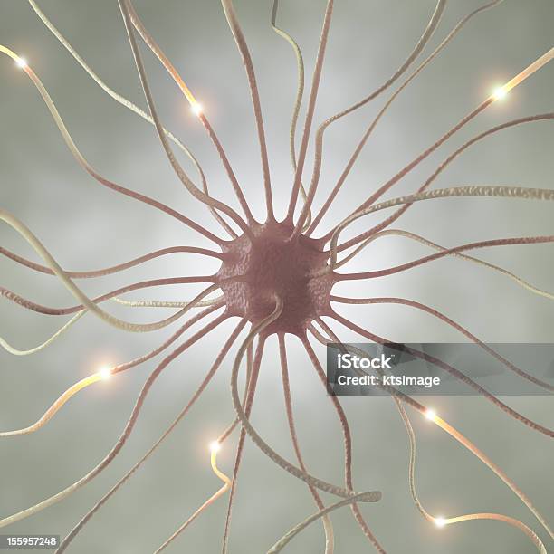 Neuron Pulse Stock Photo - Download Image Now - Autoreceptor, Photography, Autonomic Nervous System