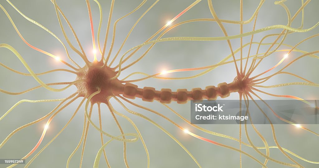 Axón de potencia - Foto de stock de Neurofilamentos libre de derechos
