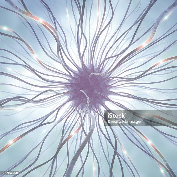 Célula Nervosa Impulso - Fotografias de stock e mais imagens de Autorecetor - Autorecetor, Axónio, Axónio Mielinizado