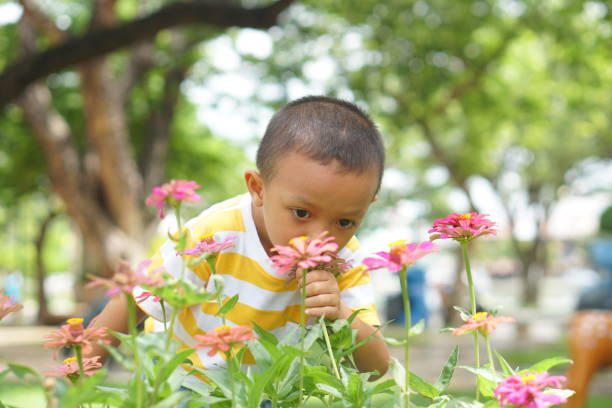 istock Boy exploring flowers in the garden 1559575778