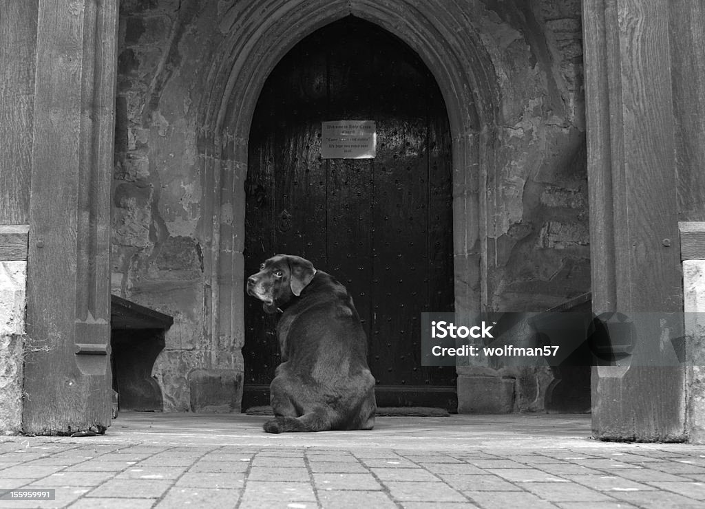 Hund wartet in einer Kirche Tür - Lizenzfrei Abwarten Stock-Foto