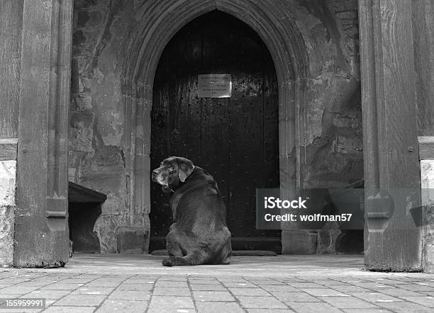 Hund Wartet In Einer Kirche Tür Stockfoto und mehr Bilder von Abwarten - Abwarten, Apportierhund, Fotografie