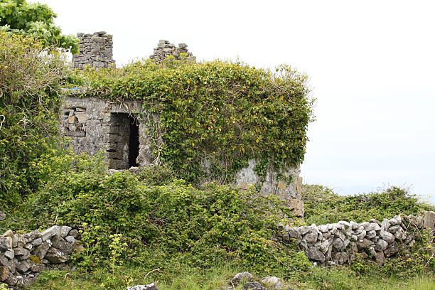 istock Irish stone building covered with leaves and vines 155960388