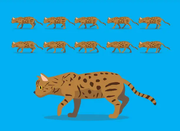 Vector illustration of Animal Animation Sequence Cat Bengal Cartoon Vector