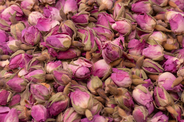 istock Dry tea roses isolated on white background. 1559630275