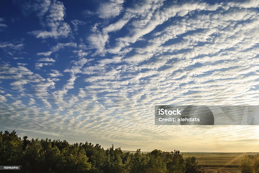 cirrus nuvens sobre a floresta. - Foto de stock de Abstrato royalty-free