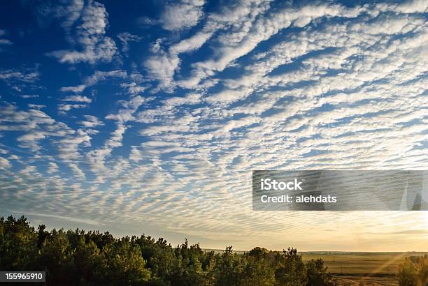 Foto de Cirrus Nuvens Sobre A Floresta e mais fotos de stock de Abstrato - Abstrato, Ambiente - Evento, Azul
