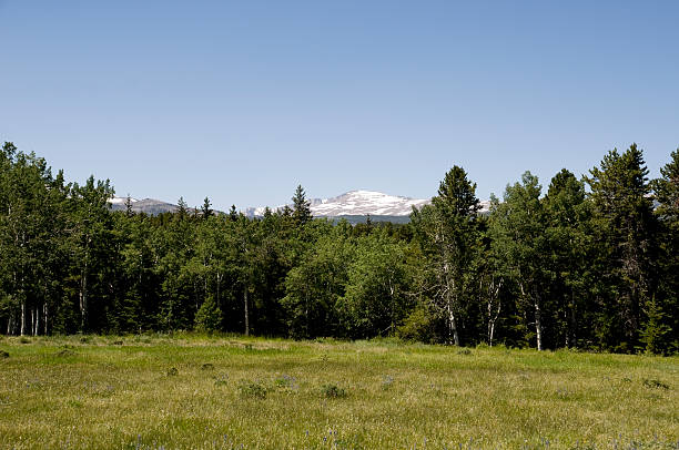 istock Big Horn Mountains in Wyoming 155967879