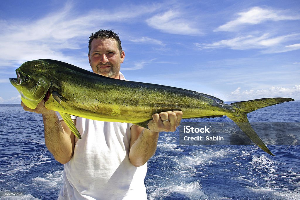 Dolphin fish (mahi-mahi) Happy  fisherman holding a beautiful dolphin fish Dolphin Fish Stock Photo