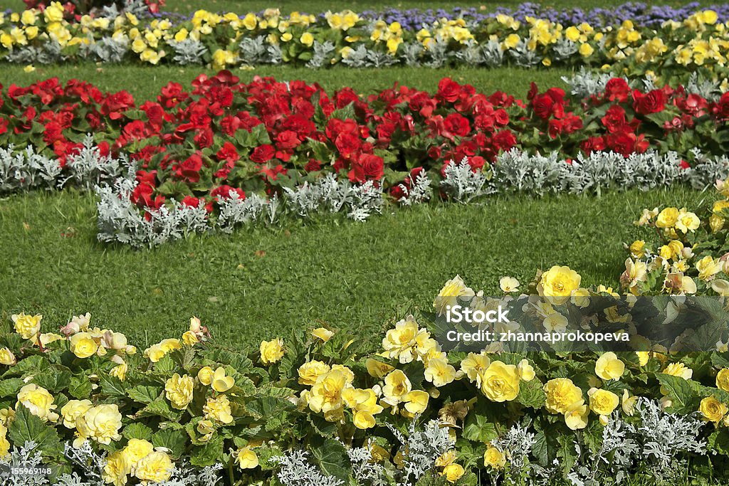 flowerbed - Lizenzfrei Blume Stock-Foto